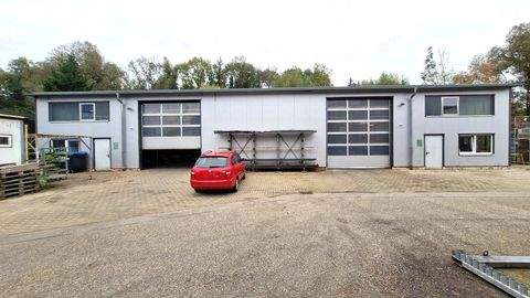 Rosenheim Halle, Rosenheim Hallenfläche