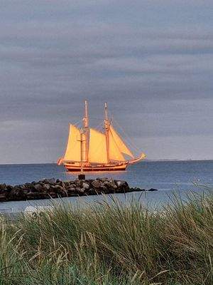 Großsegler vor Damp.jpg