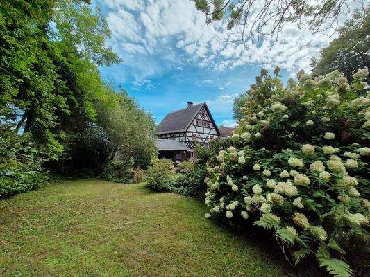 Garten mit Blick auf das Haus
