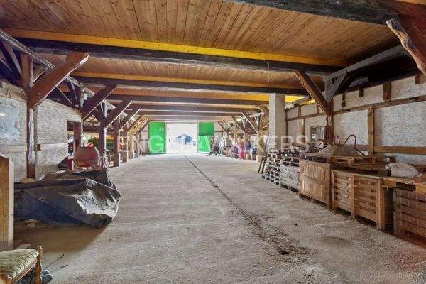 Blick in die große, ausbaufähige Halle