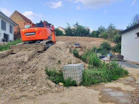 Aufnahme vom Sommer 2021