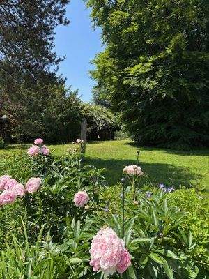 Blick in Nachbars Garten