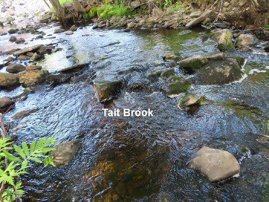 Nova Scotia - Smithfield - Wunderschönes 47-Hektar