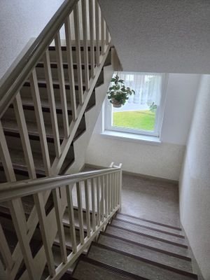 20250331_092130.jpg