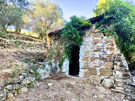 DA1046_04 TERRA ITALIA IMMOBILIEN_REAL ESTATE_FOR 