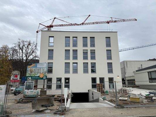 Ansicht Strasse mit TG Einfahrt.jpg