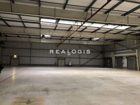 Rangsdorf Halle, Rangsdorf Hallenfläche