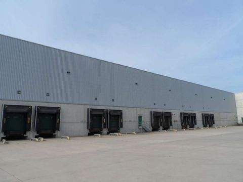 Bochum Halle, Bochum Hallenfläche