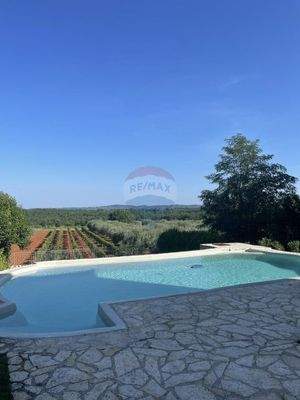 1692615731_img-d9337855a9bee6a212747c207c984dcd-v