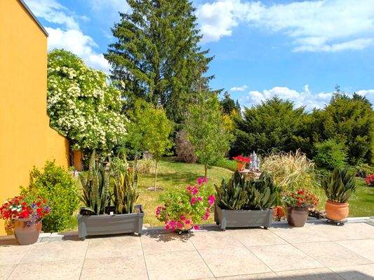 Blick auf die Terrasse