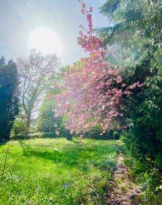 Garten