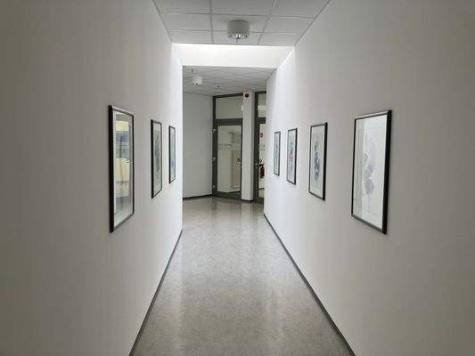 8.1.1.3 20240412_081931135_iOS.jpg