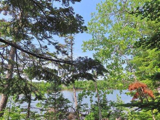 Cape Breton - Cleveland - Wunderschönes Fluss-Ufer