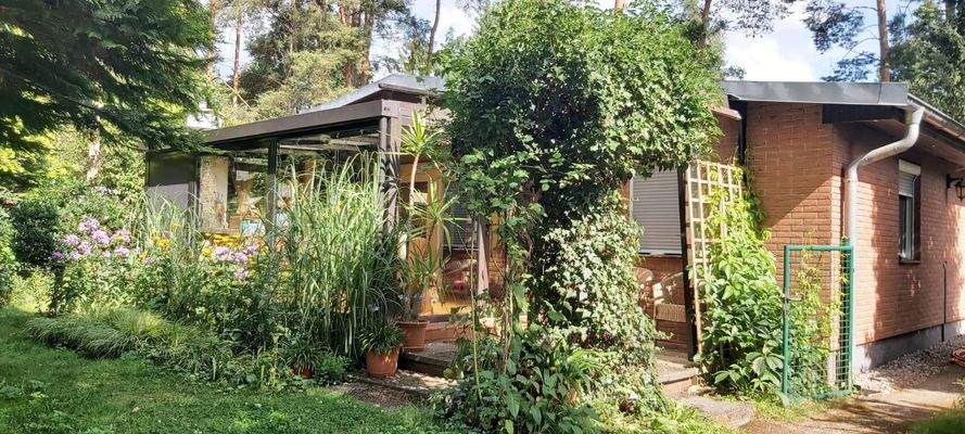 Blick zum Wintergarten