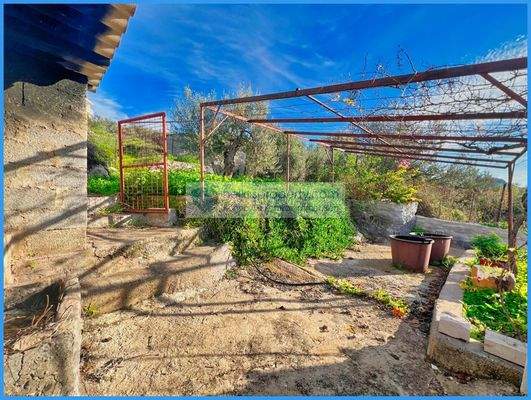 f09119a9f64a48d7966d8d698e1be998-original