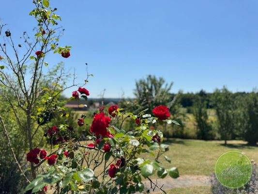 Bunte Pflanzenvielfalt, ...