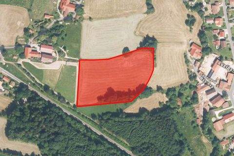 Zachenberg Bauernhöfe, Landwirtschaft, Zachenberg Forstwirtschaft