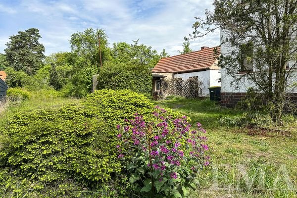 Blick zum Garten