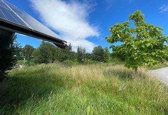 Blick aufs Grundstück