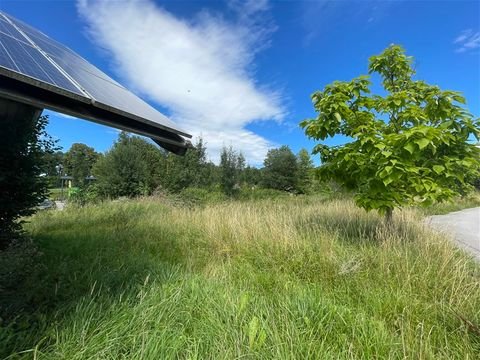 Steingaden Bauernhöfe, Landwirtschaft, Steingaden Forstwirtschaft