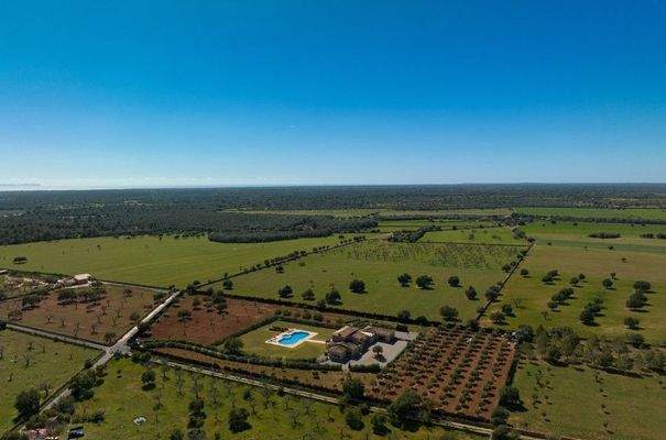 2591_24_Llucmajor_Finca_Blick