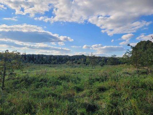 Waldfläche-Landwirtschaftsfläche