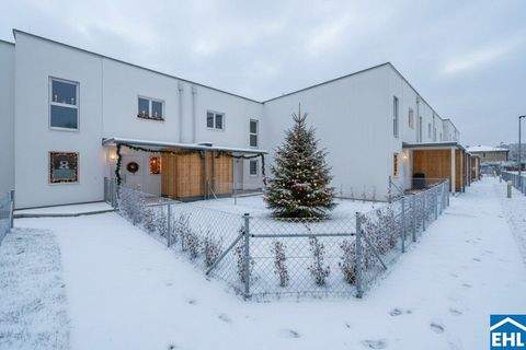 Wiener Neustadt Häuser, Wiener Neustadt Haus mieten 