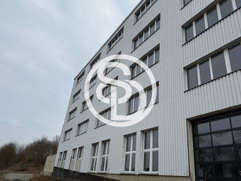 Schwarzenbach Halle, Schwarzenbach Hallenfläche