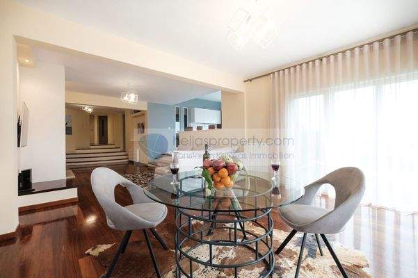 113243a0-ed87-425a-8bb1-8eb3e2c7e365