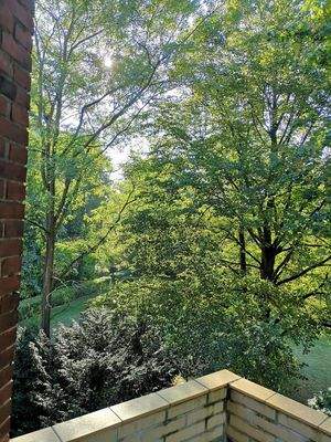 Blick aus dem Balkon