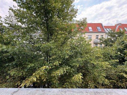 PHOTO-2025-07-14-12-21-37