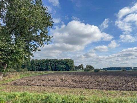 Stuhr / Blocken Bauernhöfe, Landwirtschaft, Stuhr / Blocken Forstwirtschaft