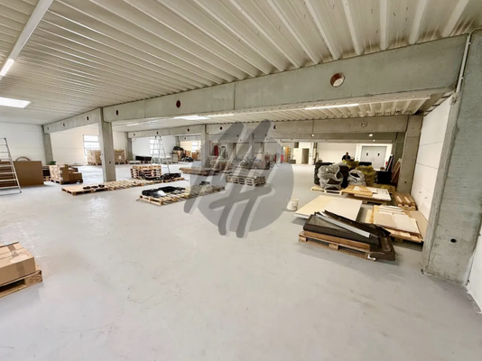 INFOS UNTER: 06171-586000