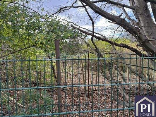 Zaun an der Preetzer Straße