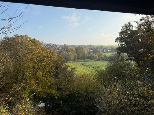Ausblick vordere Terrasse 