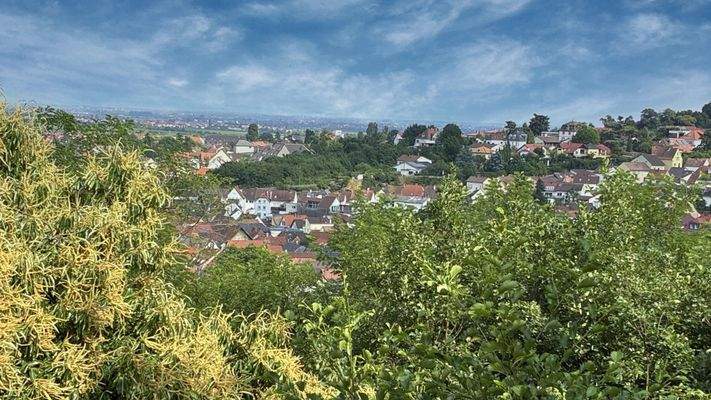 Aussicht vom Balkon Richtung Süden