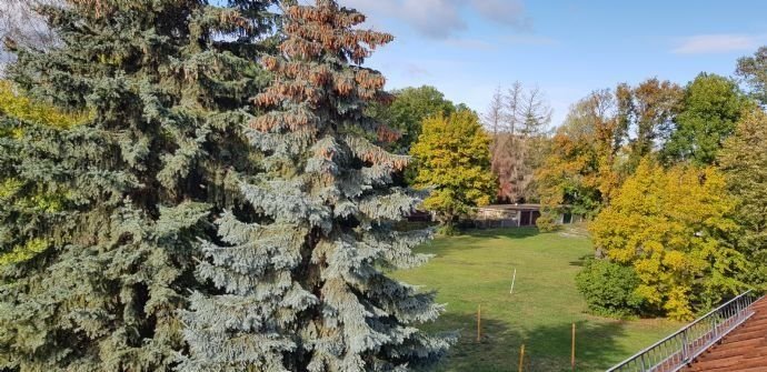 Blick aus dem Fenster/Hofseite