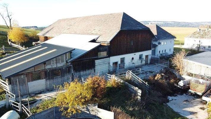 dji fly     photo low quality