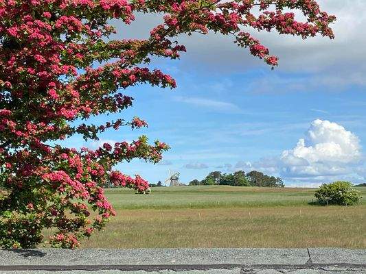 Blick auf die Nebeler Mühle