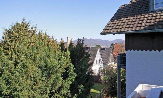 Aussicht Richtung Godesburg