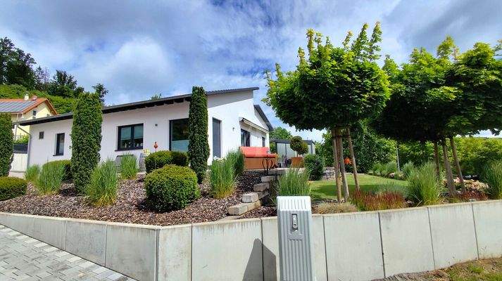 Impressionen Sommer 2025