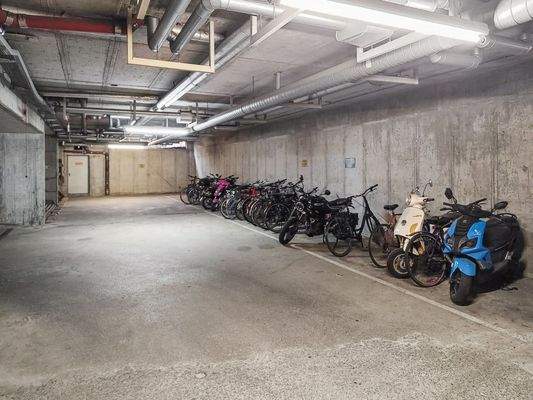 Stellplatz Auto und Fahrrad_2