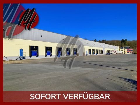Mülheim-Kärlich Halle, Mülheim-Kärlich Hallenfläche