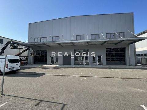 München Halle, München Hallenfläche