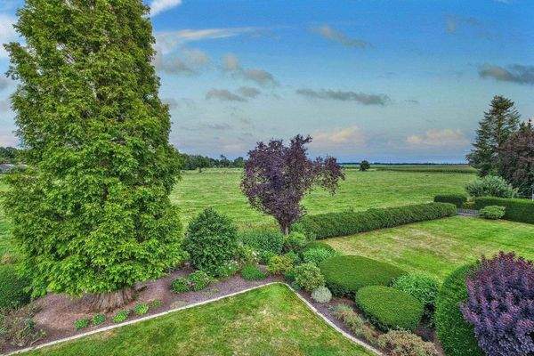 Blick auf die Weiden