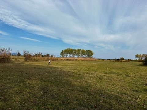 Chalkidiki Bauernhöfe, Landwirtschaft, Chalkidiki Forstwirtschaft