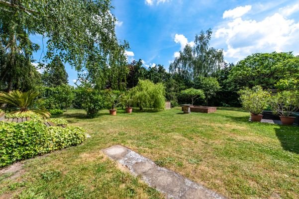 Blick in den Garten