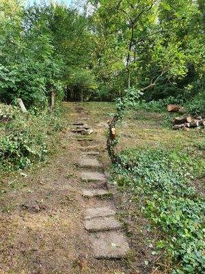 Gartenansicht oberhalb der Altbebauung