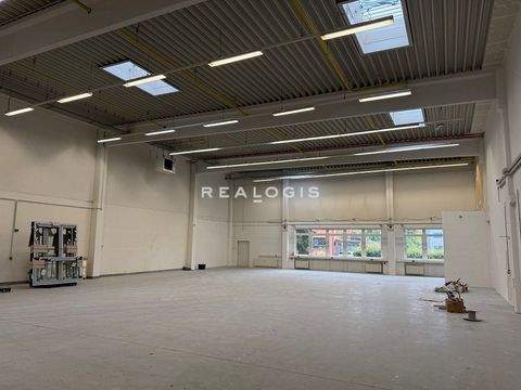 Rellingen Halle, Rellingen Hallenfläche