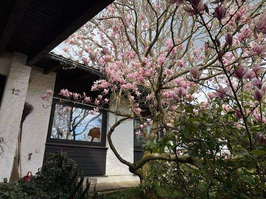 Ansicht straßenseitig